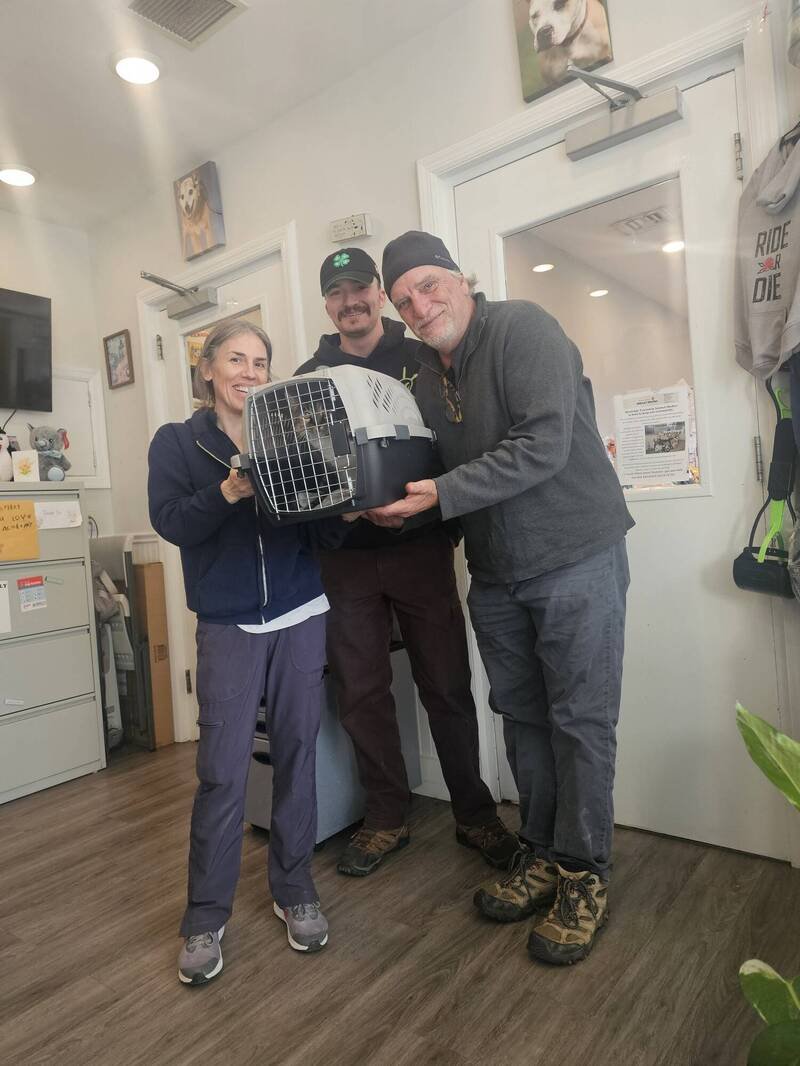 美国纽约一户家庭10年前走失的爱猫Asa，近日在新泽西州被寻回。（图截自FB／Montclair Township Animal Shelter）