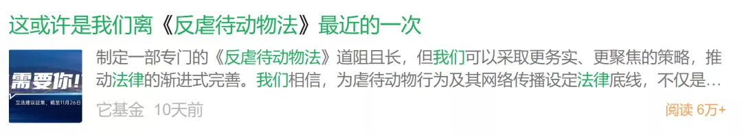 “反虐待动物”立法征集:虐杀动物应该付法律代价吗?