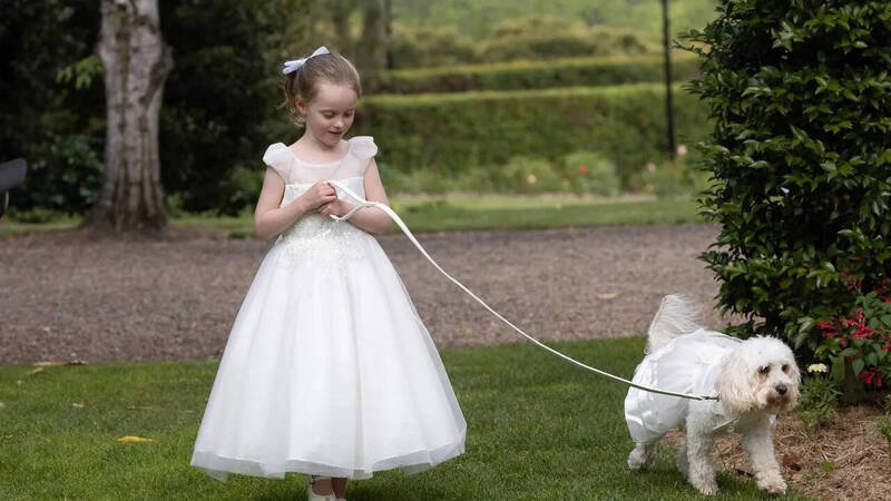 澳洲总理艾班尼斯29日举行婚礼，新娘海顿的5岁姪女艾拉（左）担任花童，手牵著被赋予递送戒指重任的总理爱犬「托托」（右），画面温馨可爱。（法新社）